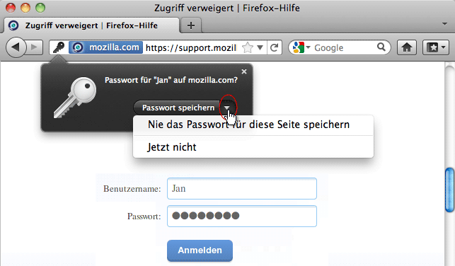 PasswortSpeichernDialog_Fx4_mac