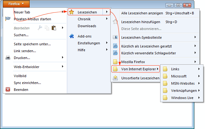 Daten aus dem Internet Explorer importieren 01