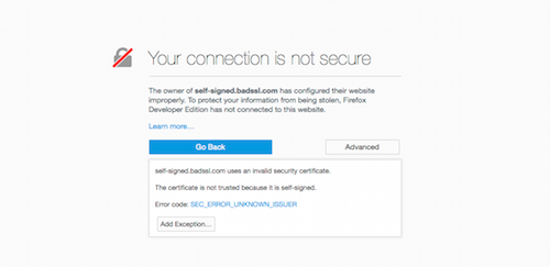 Your Connection is not Secure Advanced page
