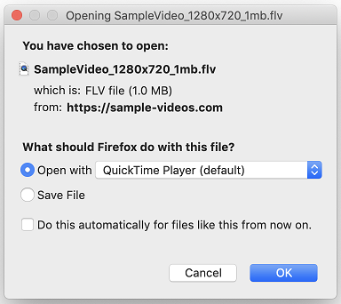 Fx90OpeningFLVfile-mac