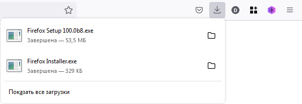 Firefox_Downloads panel Fx99_ru