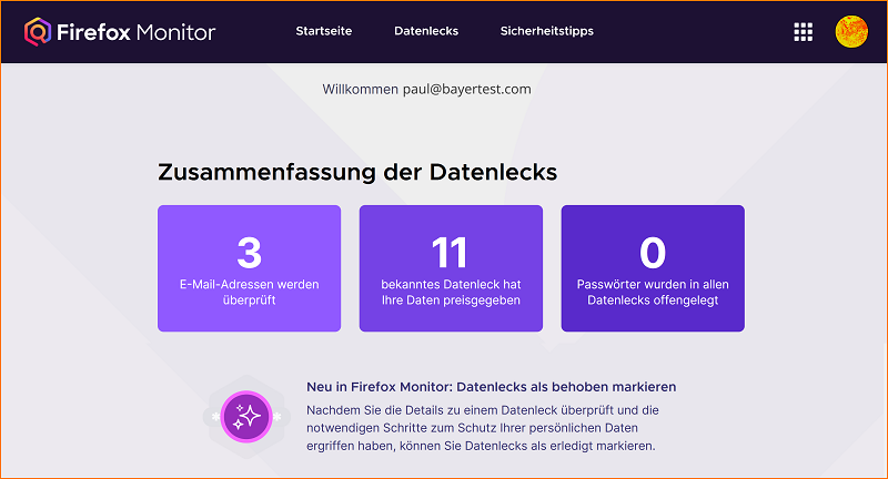 Monitor Datenleck Fenster