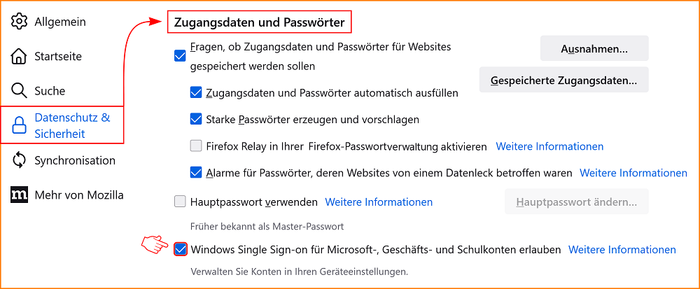 Einstellungen Datenschutz Zugangsdaten Windows SSO fx111