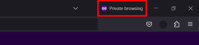 windows11 private browsing