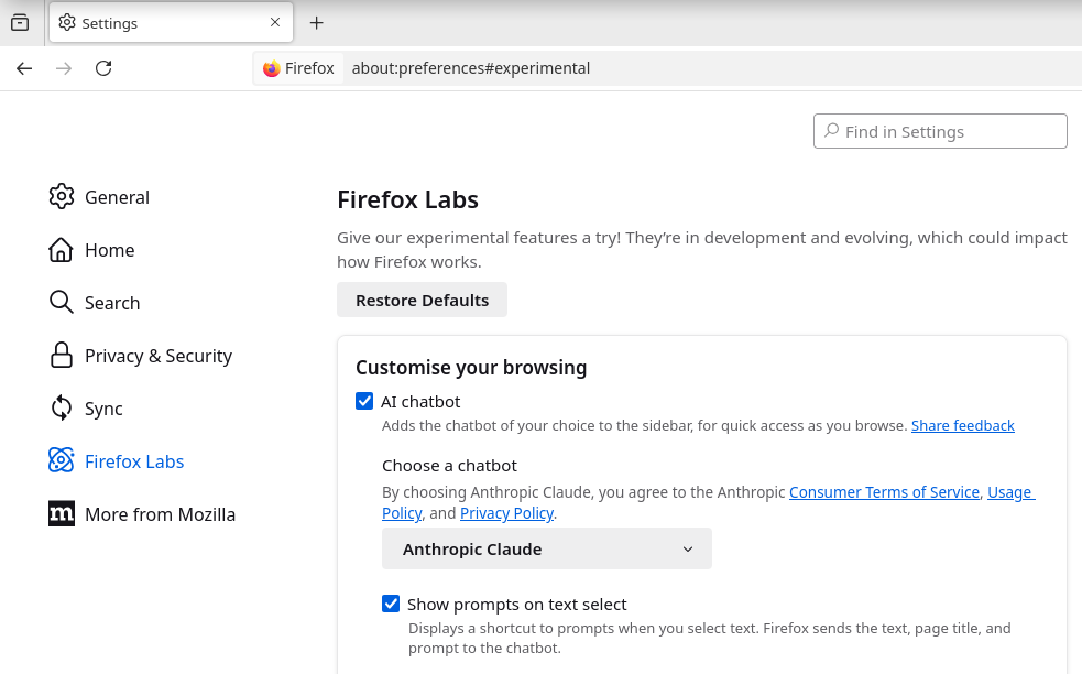 AI Chatbot Firefox Labs 29012025