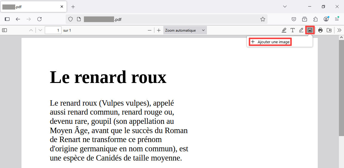 Add image to PDF simplified