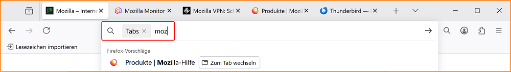 Suche in Adressleiste vor Suchbegriff fx139