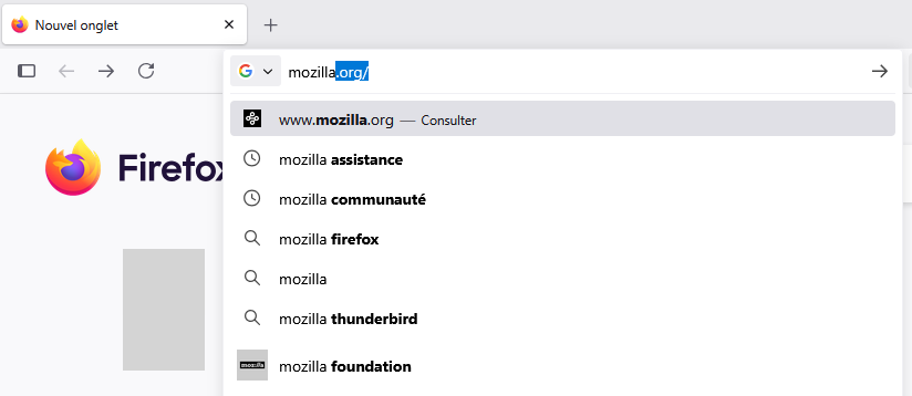 Fx140SearchSuggestions-Autocomplete