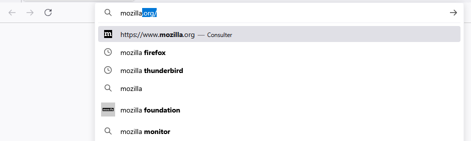Fx135SearchHistorySuggestions