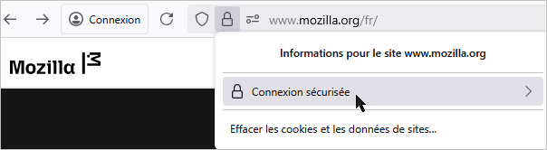 ouvrir_panneau_infos_site
