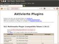 Fehlerbehebung Plugins Linux 05