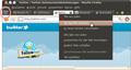 Surfen mit Tabs 04 Linux