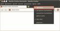 Firefox-Schaltfläche - Fx7 - Linux - 04