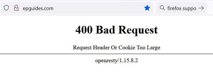 400 Bad Request Request Header Or Cookie Too Large 