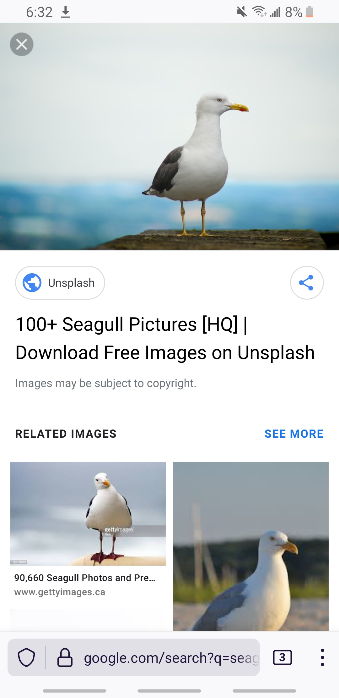 Sumo Pictures  Download Free Images on Unsplash