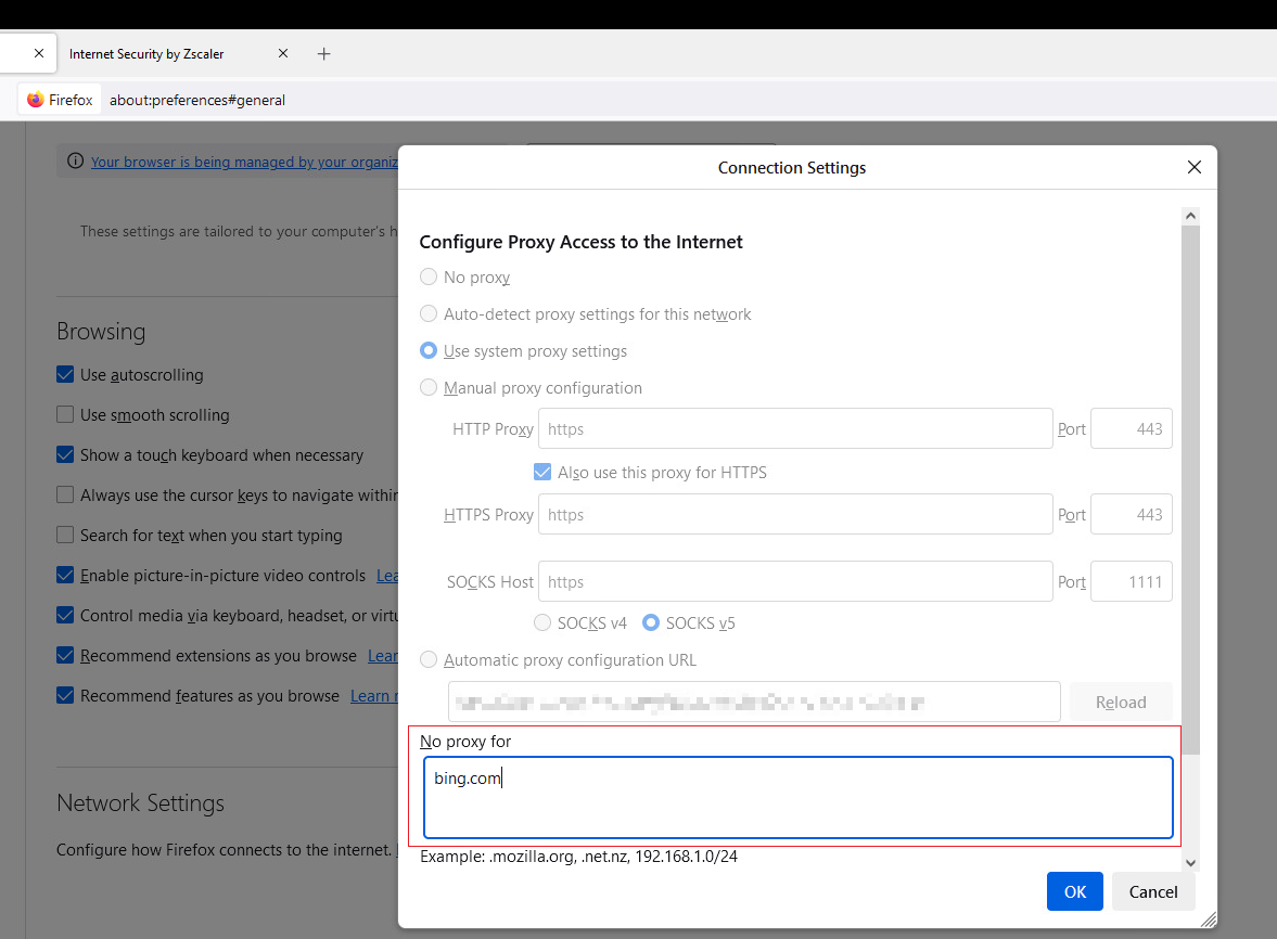 Connection settings in Firefox